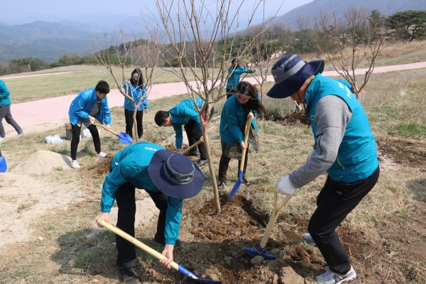 원자력환경공단 청정누리봉사단과 유관기관 자원봉사자들이 배롱나무 300여 그루를 심고 있다.