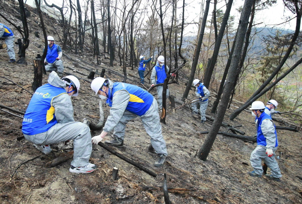 현대중공업그룹 직원들이 23일부터 25일까지 강원도 고성 산불 피해지역을 찾아, 구호활동을 펼치고 있다.
