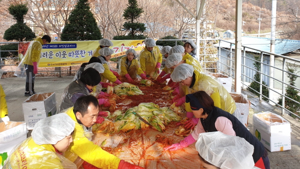 워밍업코리아 회원들이 김장을 담그고 있다.