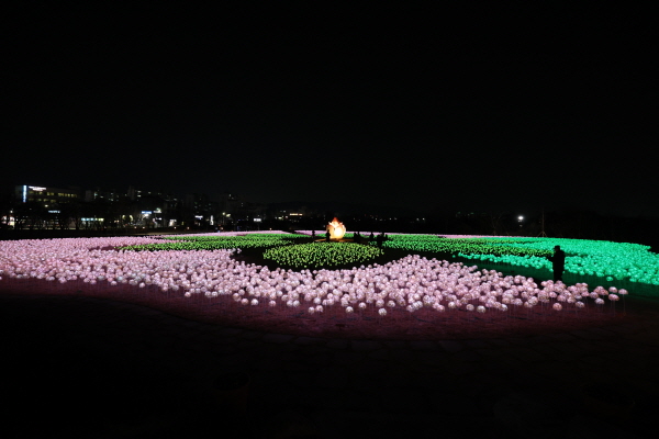 한수원이 경주시와 함께 경주 황성공원에 설치한 국내 최대 규모의 야외 LED 조명시설인 '경주 빛누리 정원'