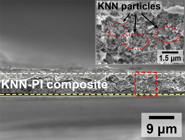 한국원자력연구원과 경북대학교 공동연구팀은 KNN계 플렉시블 압전소자가 300℃ 고온에서도 구부러진 상태로 전기를 생산하는 것을 세계 최초로 확인했다.((K,Na)NbO3계 압전 분말과 폴리이미드 고분자 복합체의 단면)