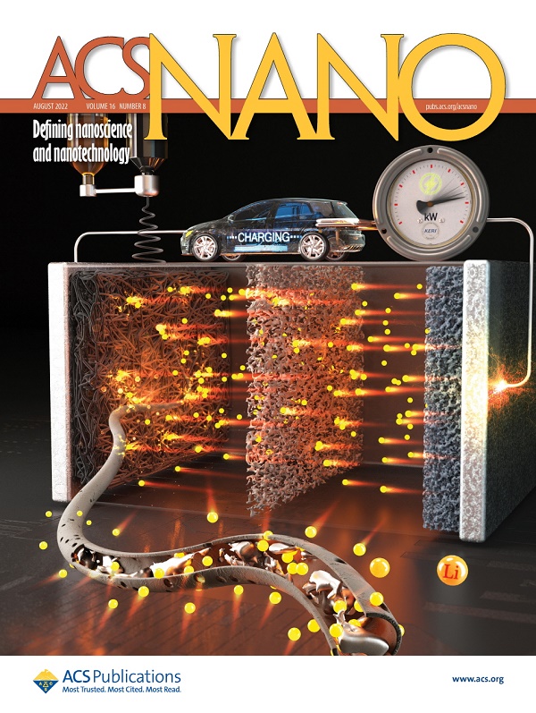 ACS Nano 8월호 표지논문으로 게재된 한국전기연구원의 리튬금속전지 연구결과